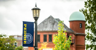 Image result for Peddiea