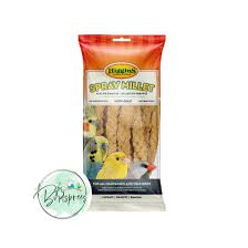 Shop Best Parrot Food: Top Pellets at Birdsprees– Translation missing: en.general.meta.page