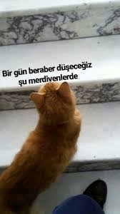 Ece Hisar Adli Kullanicinin Snap Story Panosundaki Pin 2020 Komik Alintilar Komik Manzara Fotografciligi