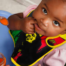 Bob Marley Bib 3 Pack