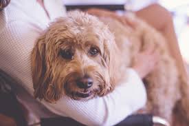 Jekyll Island Club Crane Cottage Wedding