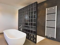 douchewand met glazen bouwstenen badkamer wanden badkamer droombadkamers