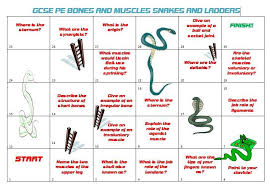 Misstaylorpe On Twitter Gcse Pe Lessons Starters Pe Teachers