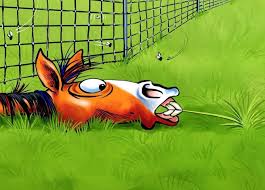 In Nachbars Garten Ist Das Gras Immer Gruner In Nachbars Garten Ist Das Gras Immer Gruner In 2020 Horse Cartoon Animal Caricature Cartoon Art