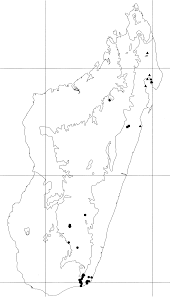 Image result for Brexia