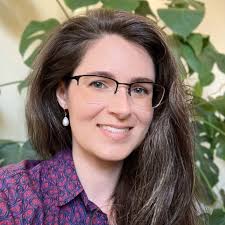 About the DRO — Denver Rock Orchestra