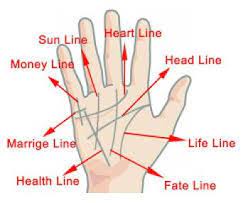 This is the line that starts on the edge of your palm, underneath the index finger, and slices across the middle. Palmistry Money Line Here S How To Read Your Palm Lines For Money Big Chi Theory