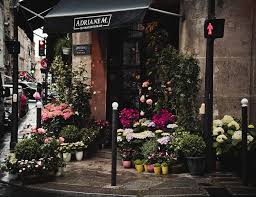 Distributing products both locally grown and globally sourced, we offer a wide variety of flowers and plants. 7 Dreamy Flower Markets And Shops In Paris