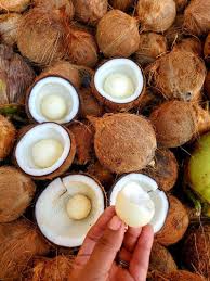 Image result for Cocos