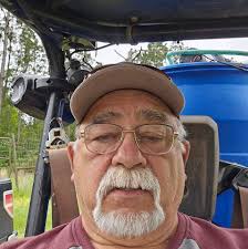 How to save a transplanted Mimosa tree?