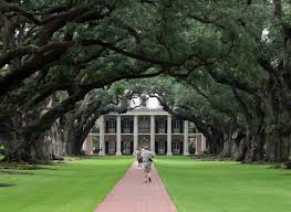 Oak alley foundation is a non profit organization created by josephine armstrong stewart. Louisiana To Tennessee From Beautiful Oak Alley Plantation To The Kitsch Of Graceland Scouting Ny