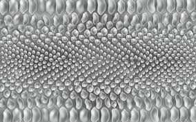 Tucson's #1 home fabric supplier since 1945, upholstery, drapery, & more! Vector Snake Crocodile Reptile Skin Texture Background Grey Royalty Free Cliparts Vectors And Stock Illustration Image 122414969