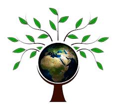 Иланское лесничество | Главная