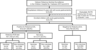 The virus replicates in the enterocytes of the small intestine, causing extensive damage to the. Rotavirus Genotype Trends From 2013 To 2018 And Vaccine Effectiveness In Southern Vietnam International Journal Of Infectious Diseases