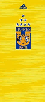 Goal over rate is 70%. 400 Ideas De Tigres Uanl En 2021 Tigres Uanl Tigres Tigres Futbol