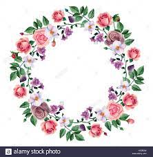 Get yours from +2 possibilities. Acquerello Corona Di Rose Rosa Dipinto A Mano Fiori Cornice Floreale Di Clip Art Vettoriali Immagine E Vettoriale Alamy