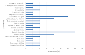 Image result for Isachne kiyalaensis