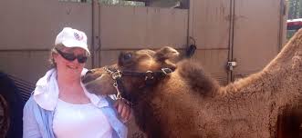 MS Casting the Coast