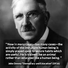 Immaturity Quotes Democracy Quotes Immaturity Quotes Knowledge Quotes