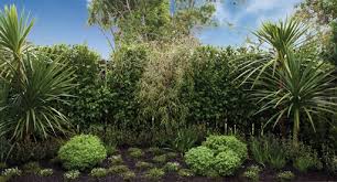 They temper the air around a home's exterior, thus reducing heating and cooling bills. Natives Growing Guide