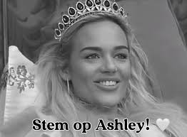 @kim_feyen's video Tweet