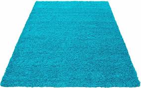 Hochflor teppich paulo türkis ist ein moderner türkiser teppich. Hochflor Teppich Dream Shaggy Ayyildiz Rechteckig Hohe 50 Mm Wohnzimmer Online Kaufen Otto