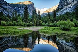 The Best Activities In Yosemite And Bass Lake The Pines Resort Blog Bass Lake Lake Vacation California Travel Road Trips
