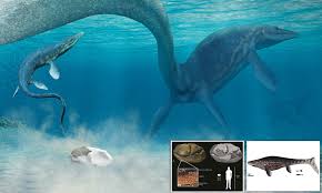 Fossils of steppe mammoth up to 15 feet (4.5 meters) in height and nine to 11 tons in weight have been found. World S Biggest Reptile Egg Laid By A Prehistoric Sea Monster 66 Million Years Ago Daily Mail Online