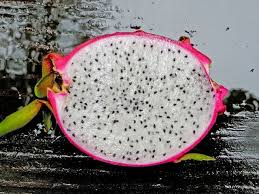 Maybe you would like to learn more about one of these? Dragon Fruit Plants Flower But Bear No Fruits Solutions