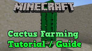 Lime green dye minecraft recipeshow all. Minecraft Ps3 Ps4 Cactus Farm Tutorial Farming Tutorial 6 10 Youtube