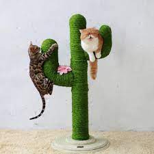 Pin On Cat Products
