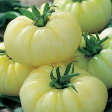 Pin On My Shop All My Tomatoes