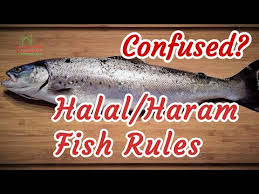 A ban that has now been partially lifted by a fatua (islamic decree) issued by the abu dhabi religious affairs authority. Halal Haram Fish Islamic Rules Ayatollah Sistani Youtube