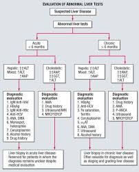 Image result for Liver Function Test Abnormality
