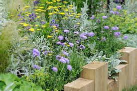 Some perennial species bloom for only a week or two before fading. Repeat Flowering Perennials To Grow Bbc Gardeners World Magazine