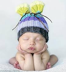 Gambar lucu dan kocak abis. Free Download Wallpaper Keren Wallpaper Lucu Gambar Lucu Gambar Foto Wallpaper 586x634 For Your Desktop Mobile Tablet Explore 49 Gambar Wallpaper Lucu Gambar Wallpaper Lucu Gambar Wallpaper Islam Gambar Wallpaper Cantik