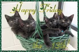 Post a safe for work (or hidden behind spoilers) gifidentify the source???profit! Happy Friday The 13th Quotes Quotesgram