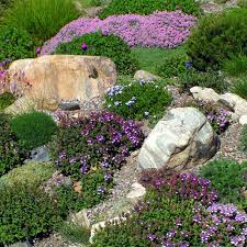 Easy Gardening Top 4 Tricks Of The Trade High Country Gardens High Country Gardens Rock Garden Landscaping Rock Garden Design