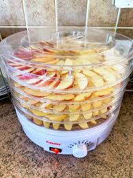 Recette De Pommes Sechees Au Deshydrateur Cuisine Blog Recette Recettes Nourriture Deshydratee Recette Pomme Recettes De Cuisine