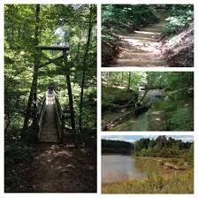 Chicopee Woods Hiking Trails At Elachee Nature Center Dunlap Trail 2 25 Miles And The West Lake Trail 2 5 Miles Hiking Trails West Lake Nature Center