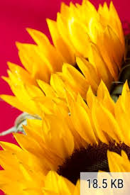 Upload your jpg or png to our image resizer. What S Better 90 Or 80 Image Quality For Jpg