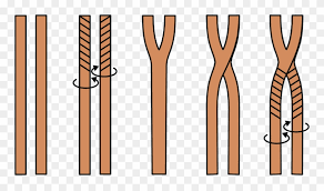 Start with a secure base (optional). Alternative 2 Stranded Braiding Technique Braid 2 Strands Clipart 1581154 Pinclipart