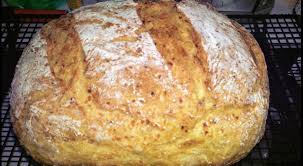 Kerniges Karottenbrot Rezept Frag Mutti Rezept Karottenbrot Lebensmittel Essen Brot Selber Backen Rezept