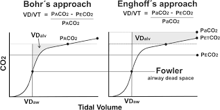 Apr 24, 2014 · the bohr method formula for the physiologic dead space is: Pdf Calculation Of Physiologic Dead Space Comparison Of Ventilator Volumetric Capnography To Measurements By Metabolic Analyzer And Volumetric Co2 Monitor Semantic Scholar