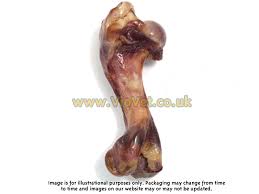 Being carnivores, cats benefit from eggs' protein and amino acids. Serrano Ham Bones