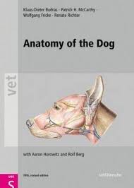 Lotze, md facog female pelvic medicine & reconstructive surgery division & fellowship director, women's pelvic health & continence center clinical. Anatomy Of The Dog Klaus Dieter Budras 9783899930184