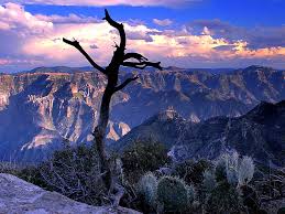 Copper canyon is a group of six distinct canyons in the sierra madre occidental in the southwestern part of the state of chihuahua in northw. Copper Canyon Series Deepest Canyons On The Planet