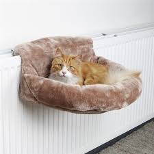 Kedi Sahiplenecekler Icin Temel Ihtiyaclar Listesi Ajanimo