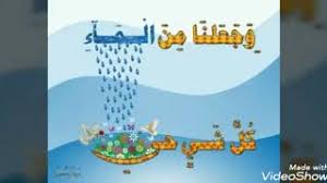 قال الله وجعلنا من الماء كل شيء حي سورة الأنبياء الآية 30 Youtube