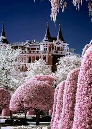 Calle,Alfonso Xll.#MADRID# | Beautiful places to visit, Wonders of the  world, Places to visit